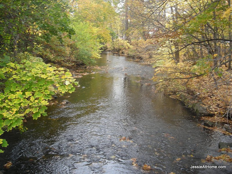 stream-through-the-park