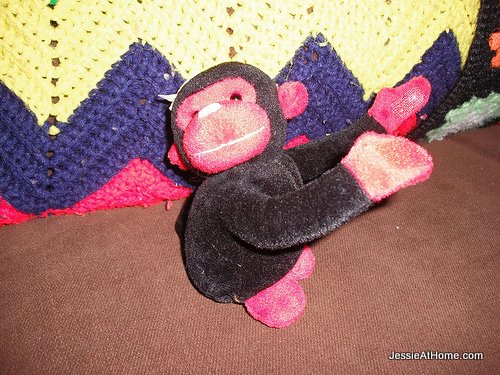 Black-hug-monkey