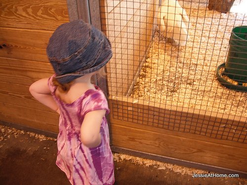 Kyla-does-the-chicken-at-the-Turtleback-Zoo-2010