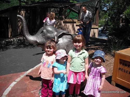 elephant-statue-at-the-Turtleback-Zoo-2010