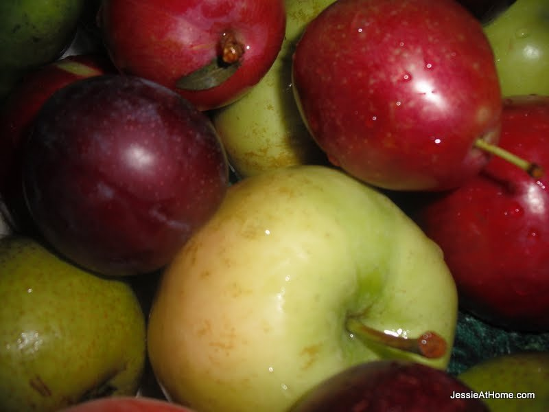 close-up-farmers-market-fruit-2011