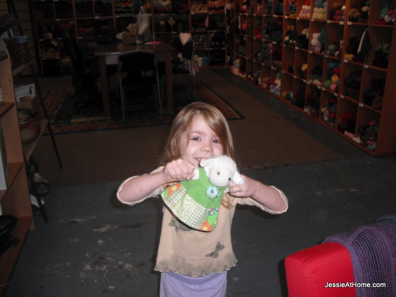 Sheep-belong-in-the-yarn-store!