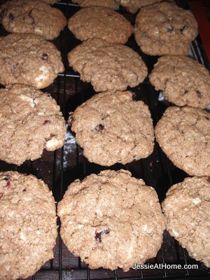 chocolate-cranberryy-oatmeal-cookies