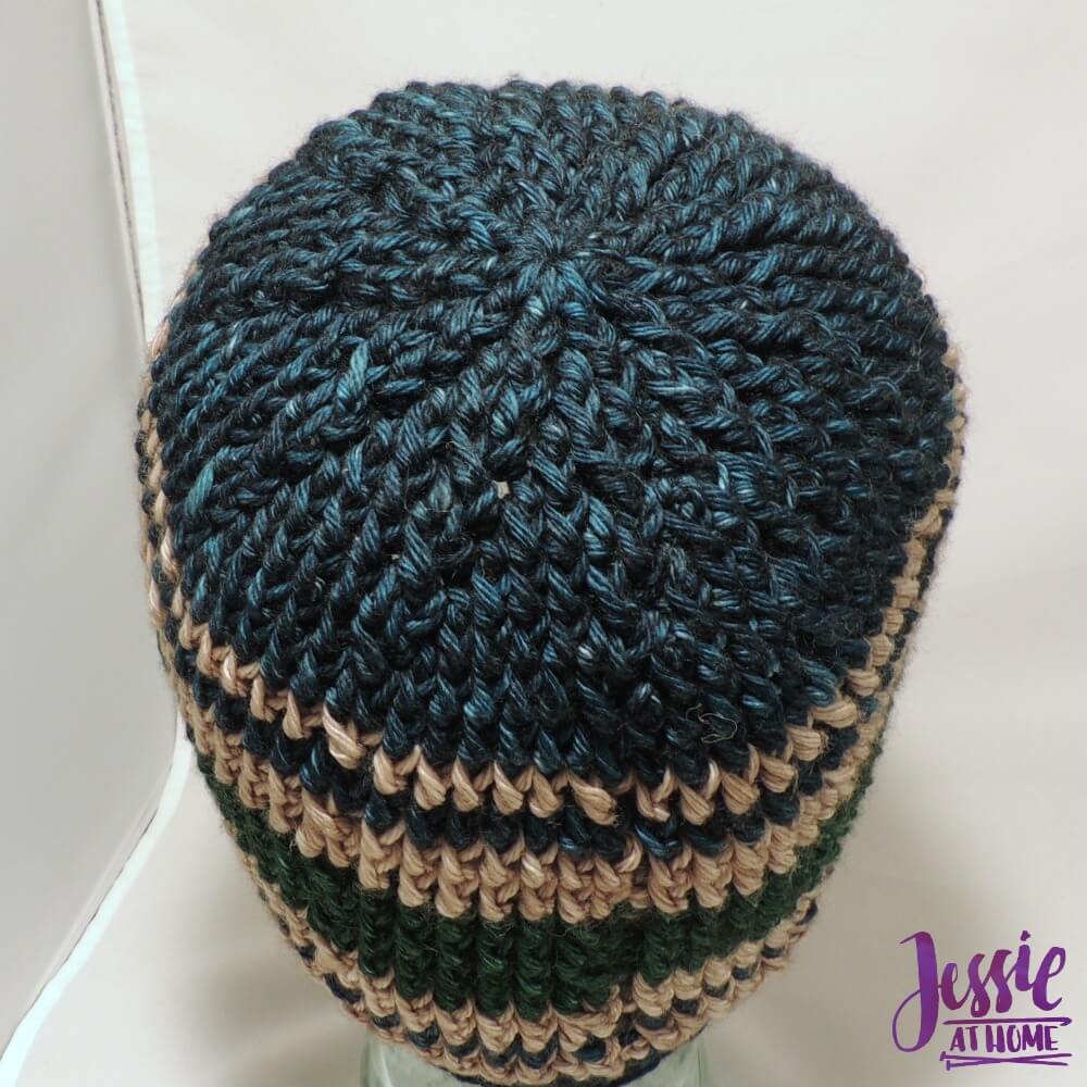 Vines & Twigs Beanie free crochet pattern by Jessie At Home - 3