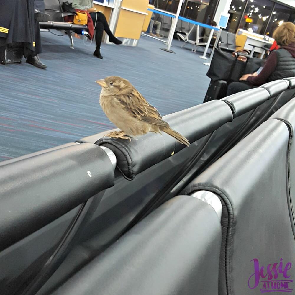 Creativation 2018 my airport buddy