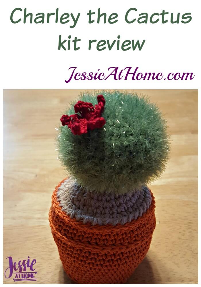 Charley the Cactus kit review